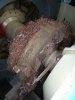 #2 exciter b.jpg