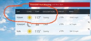 Arizona Summer 1.jpg